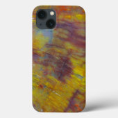 Coques Case-Mate iPhone Bois pétrifié (Verso)