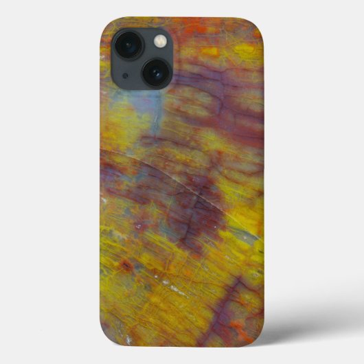 Coques Case-Mate iPhone Bois pétrifié (Verso)