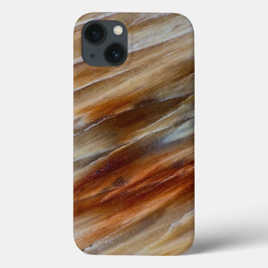 Coques Case-Mate iPhone Bois pétrifié déchiqueté (Verso)