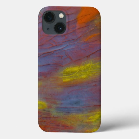 Coques Case-Mate iPhone Bois Pétrifié en Gros Plan (Verso)
