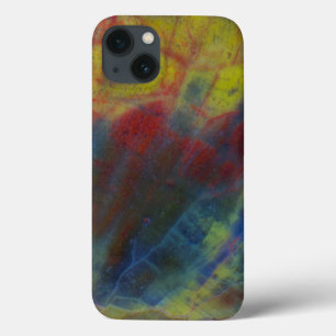 Case-Mate iPhone Case Bois Pétrifié Horizontal