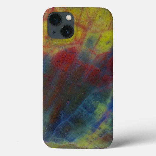 Coques Case-Mate iPhone Bois Pétrifié Horizontal (Verso)