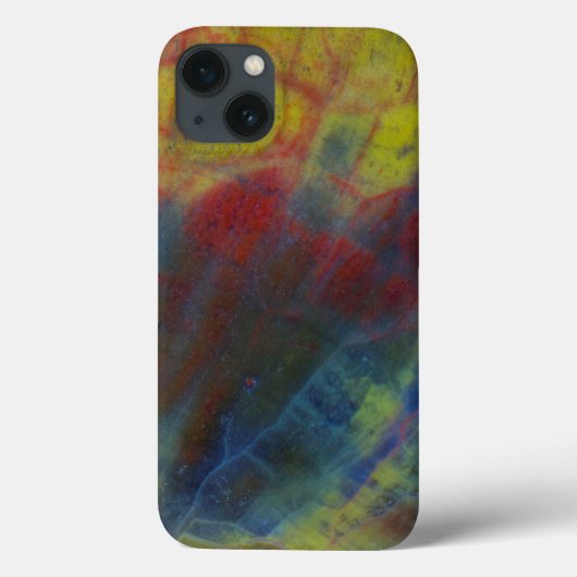 Coques Case-Mate iPhone Bois Pétrifié Horizontal (Verso)