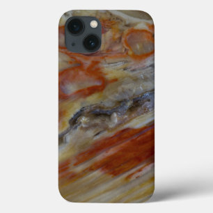 Case-Mate iPhone Case Bois pétrifié strié