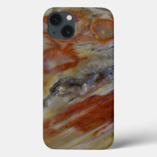 Case-Mate iPhone Case Bois pétrifié strié