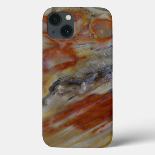 Coques Case-Mate iPhone Bois pétrifié strié (Verso)
