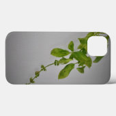 Coques Case-Mate iPhone Boîtier Apple iphone 13 STYLE ART ET DESIGN  (Verso (horizontal))