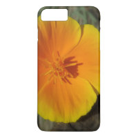 Boîtier de photo de fleurs d'été