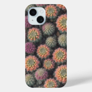 Coque Pour iPhone 15 Boîtier de téléphone coloré Cactus
