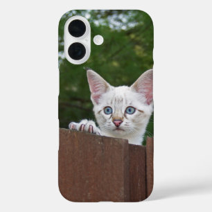 Coques iPhone 16 Boîtier de téléphone de chat Savannah