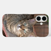 Coques Case-Mate iPhone Boîtier de téléphone de chat Savannah (Verso (horizontal))