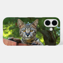 Boîtier de téléphone de chat Savannah