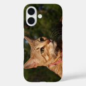 Coques Case-Mate iPhone Boîtier de téléphone de chat Savannah (Verso)