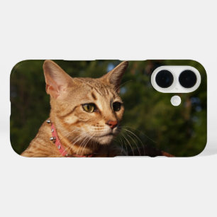 Coques iPhone 16 Boîtier de téléphone de chat Savannah
