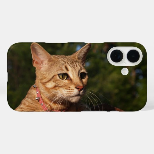 Coques Case-Mate iPhone Boîtier de téléphone de chat Savannah (Verso (horizontal))