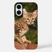 Boîtier de téléphone de chat Savannah