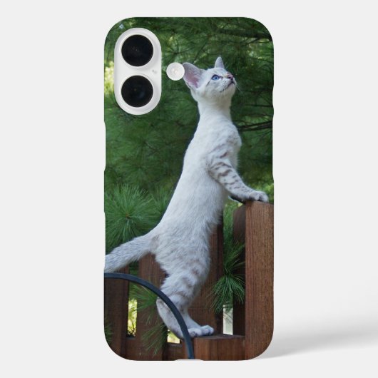 Coques Case-Mate iPhone Boîtier de téléphone de chat Savannah (Verso)