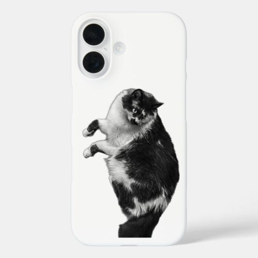 Coques Case-Mate iPhone Boîtier de téléphone de chat Whiskers (Verso)
