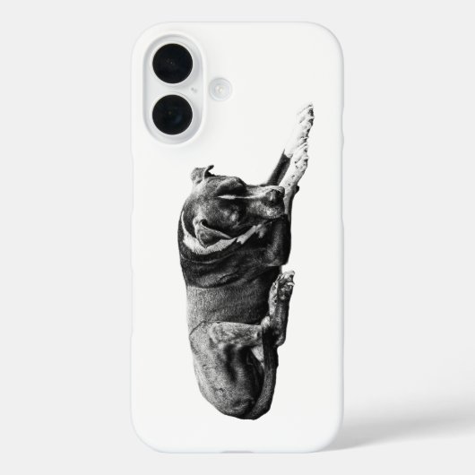 Coques Case-Mate iPhone Boîtier de téléphone de chien ombragé (Verso)