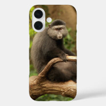 Boîtier de téléphone de singe