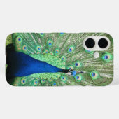 Coques Case-Mate iPhone Boîtier de téléphone - Fière Peacock (Verso (horizontal))