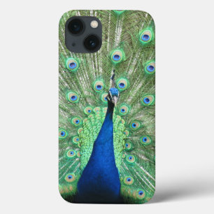 iPhone 13 Case Boîtier de téléphone - Fière Peacock