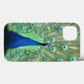 Coques Case-Mate iPhone Boîtier de téléphone - Fière Peacock (Verso (horizontal))