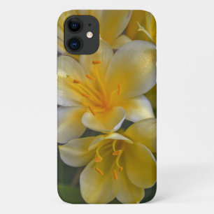 Case-Mate iPhone Case Boîtier de téléphone fleuri en or jaune