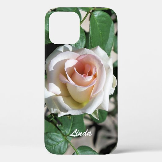 Coques Case-Mate iPhone Boîtier de téléphone Galaxy Rose blanche (Verso)