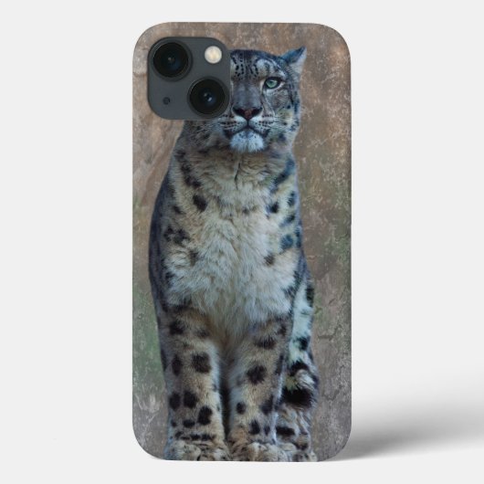 Coques Case-Mate iPhone Boîtier iPad Leopard Lookout (Verso)