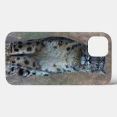 Coques Case-Mate iPhone Boîtier iPad Leopard Lookout (Verso (horizontal))