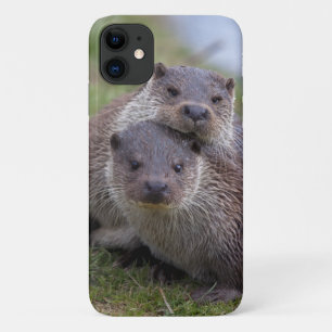 Case-Mate iPhone Case Boîtier iPhone 11 Follement amoureux