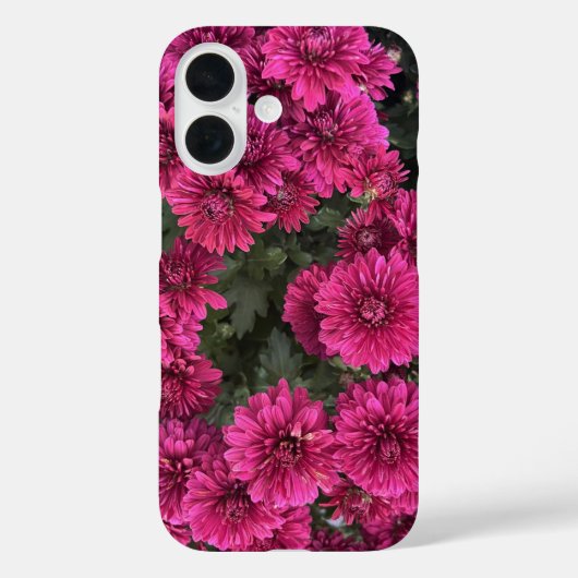 Coques Case-Mate iPhone Boîtier iPhone 16 Chrysanthèmes Violets (Verso)
