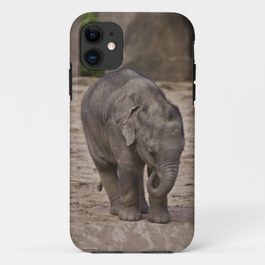 Coques Case-Mate iPhone Boîtier iPhone 5 Case-Mate Baby Elephant (Dos)