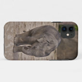 Coques Case-Mate iPhone Boîtier iPhone 5 Case-Mate Baby Elephant (Dos (Horizontal))