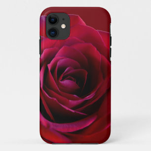 Boîtier iPhone 5 Rose Rouge Classique Coques iPhon