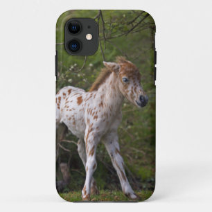 Etui iPhone Case-Mate Boîtier iPhone 5 Taches de rousseur