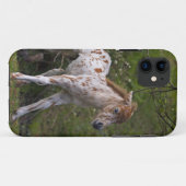 Coques Case-Mate iPhone Boîtier iPhone 5 Taches de rousseur (Dos (Horizontal))