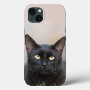 Case Boîtier iPhone Case-Mate chat noir
