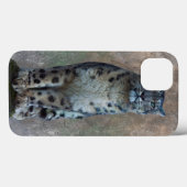 Coques Case-Mate iPhone Boîtier pour iPad Mini Leopard Lookout (Verso (horizontal))