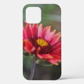 Coques Case-Mate iPhone Boîtier téléphonique d'art Fleur sauvage indien (Verso)