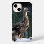 Coques Case-Mate iPhone Boîtier téléphonique Mallard Duck (Verso)
