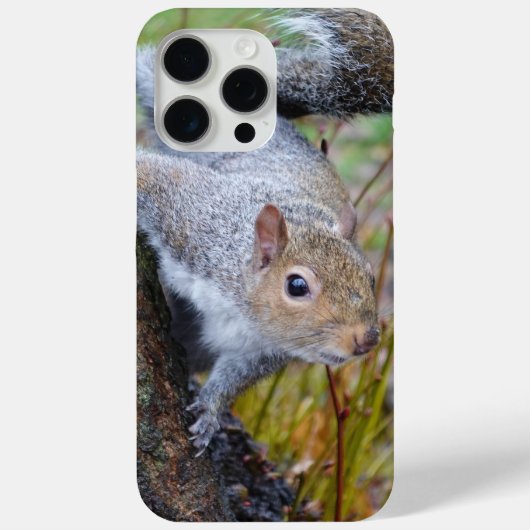 Coques Case-Mate iPhone Boîtier téléphonique pour écureuil (Verso)