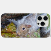 Coques Case-Mate iPhone Boîtier téléphonique pour écureuil (Verso (horizontal))