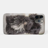 Coques Case-Mate iPhone Bolonka Puppy (Dos (Horizontal))