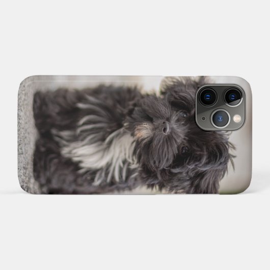 Coques Case-Mate iPhone Bolonka Puppy (Dos (Horizontal))