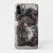 Coques Case-Mate iPhone Bolonka Puppy (Dos)