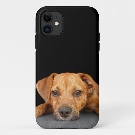 Coques Case-Mate iPhone Bon chien (Dos)