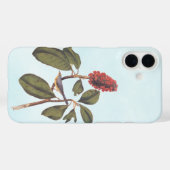 Coques Case-Mate iPhone Bonaparte Moucherolle Canada Paruline Audubon Oise (Verso (horizontal))