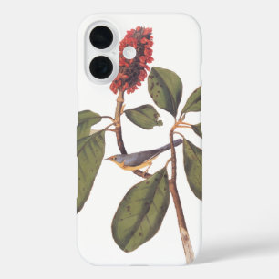 Coques iPhone 16 Bonaparte Moucherolle Canada Paruline Audubon Oise